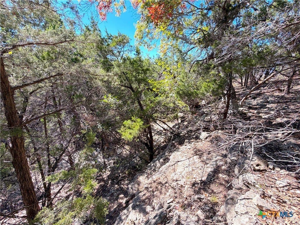 2.68 acres in Comal County - photo 17