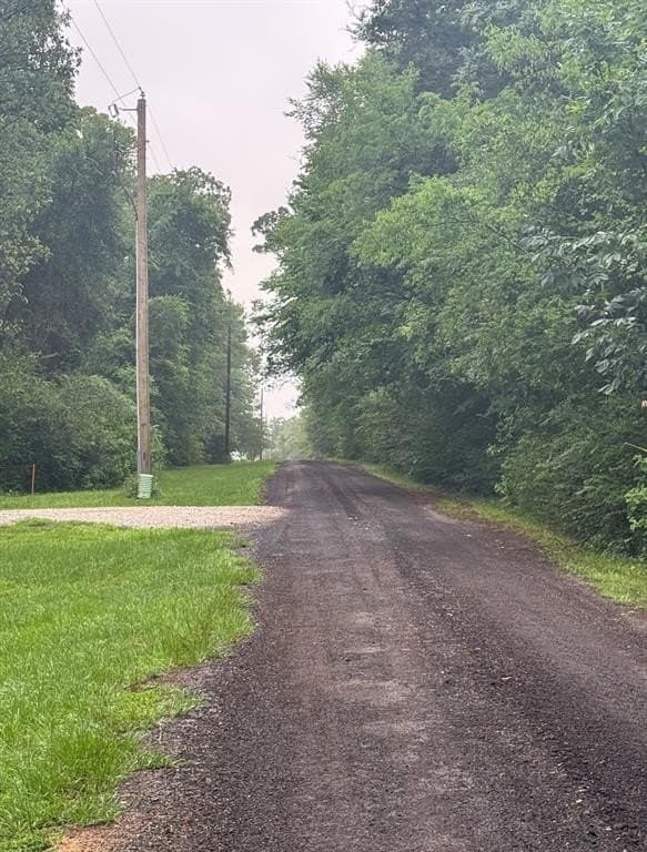 3 acres in Titus County gallery image 3
