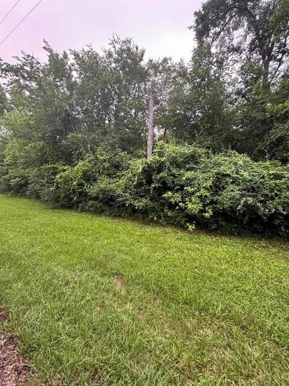 3 acres in Titus County gallery image 2