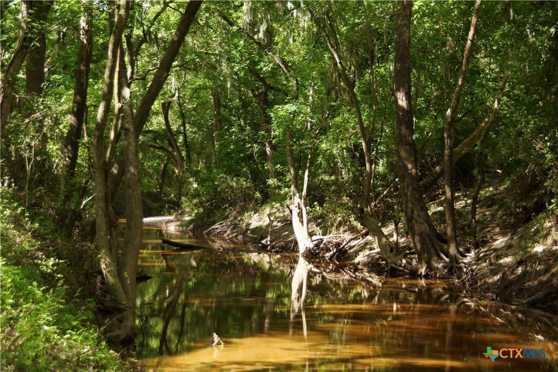 159.8 acres in Lavaca County - photo 25