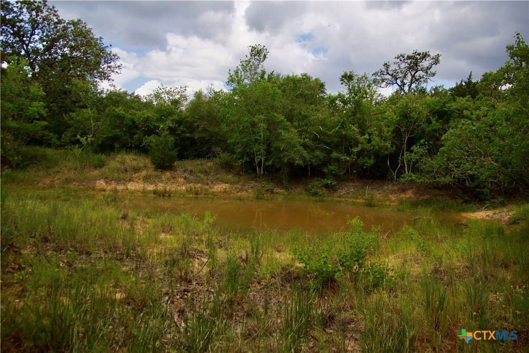 159.8 acres in Lavaca County - photo 39