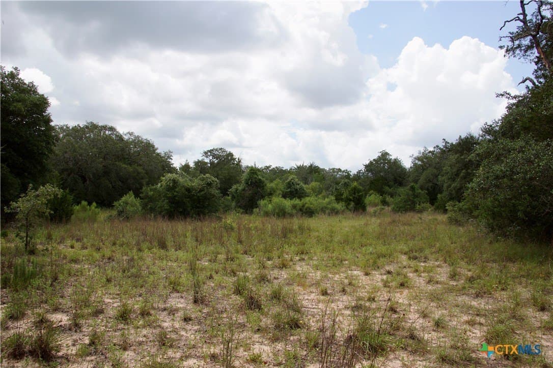 159.8 acres in Lavaca County - photo 38