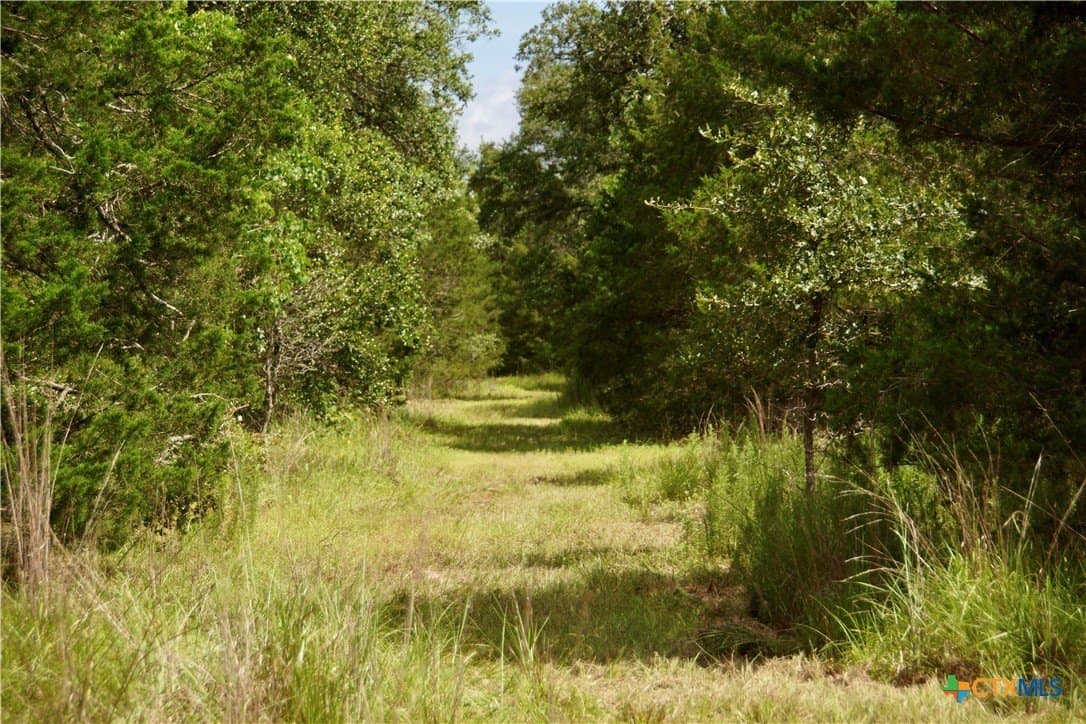 159.8 acres in Lavaca County - photo 35