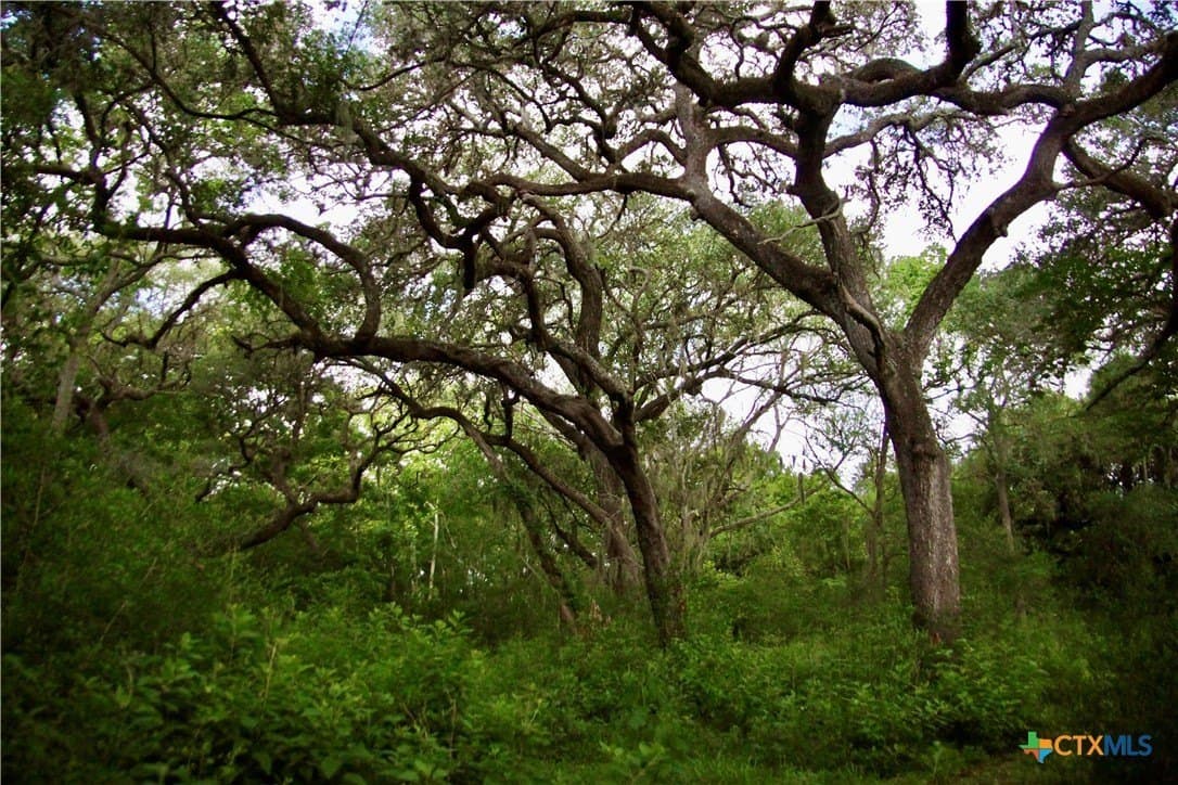 159.8 acres in Lavaca County - photo 33