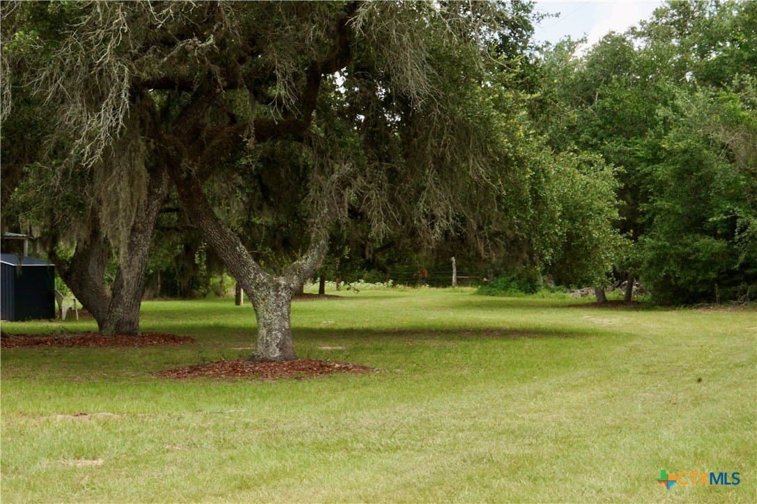 159.8 acres in Lavaca County - photo 6