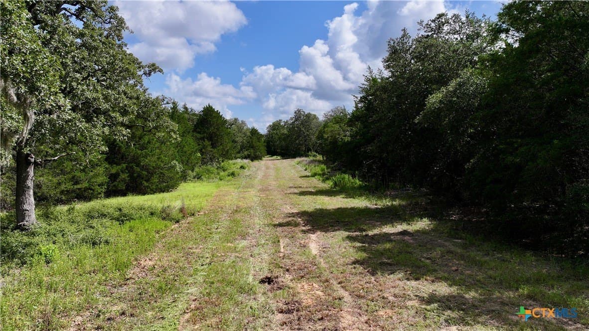 159.8 acres in Lavaca County - photo 32