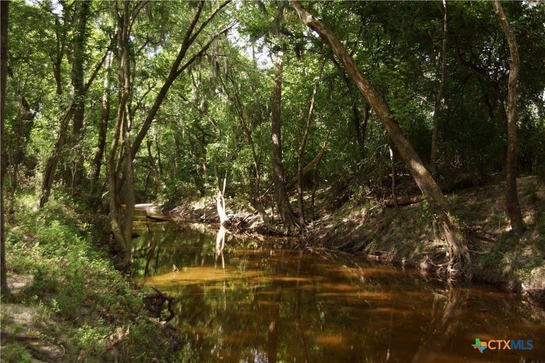 159.8 acres in Lavaca County - photo 23