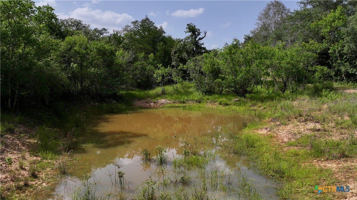 159.8 acres in Lavaca County - photo 21