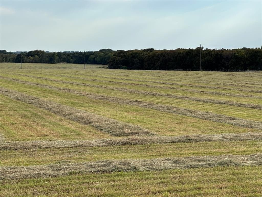 13 acres in Grayson County gallery image 2