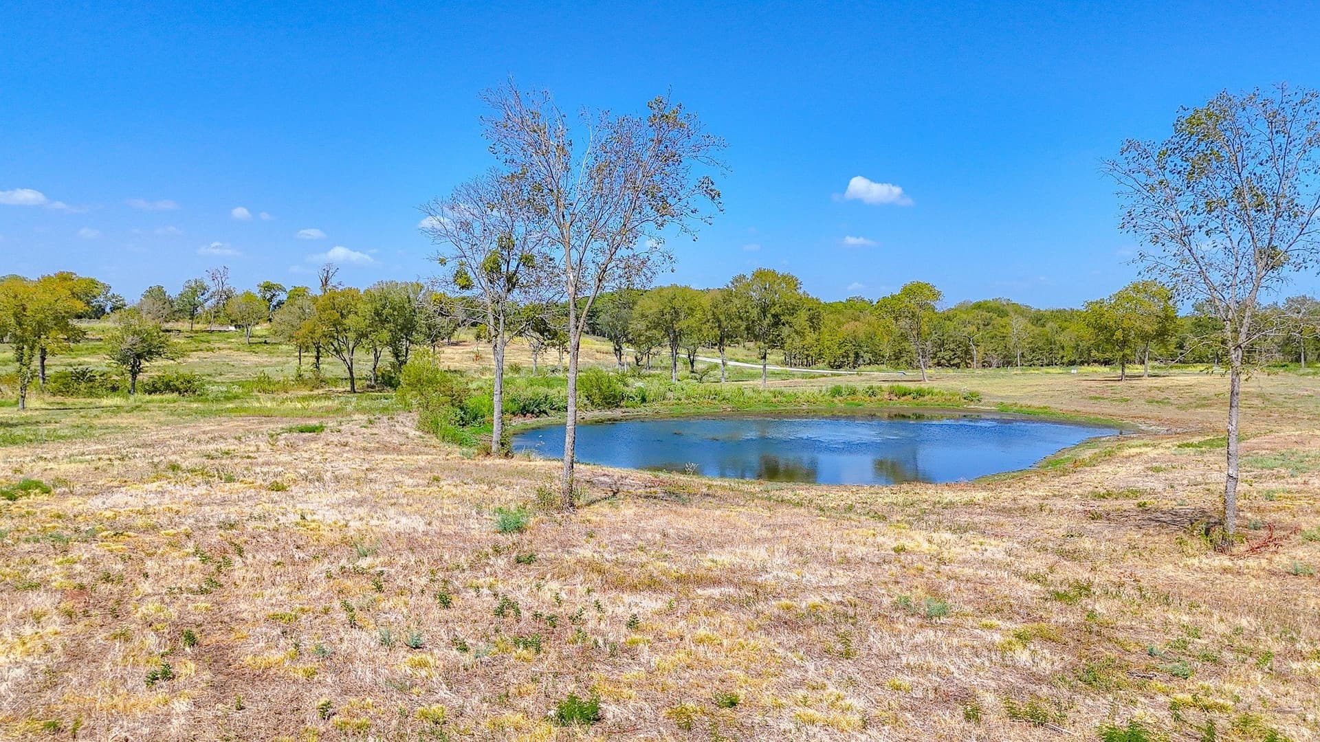 1.05 acres in Navarro County - photo 6