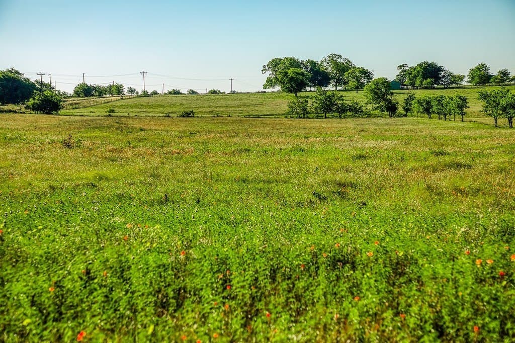 12.51 acres in Washington County - photo 6