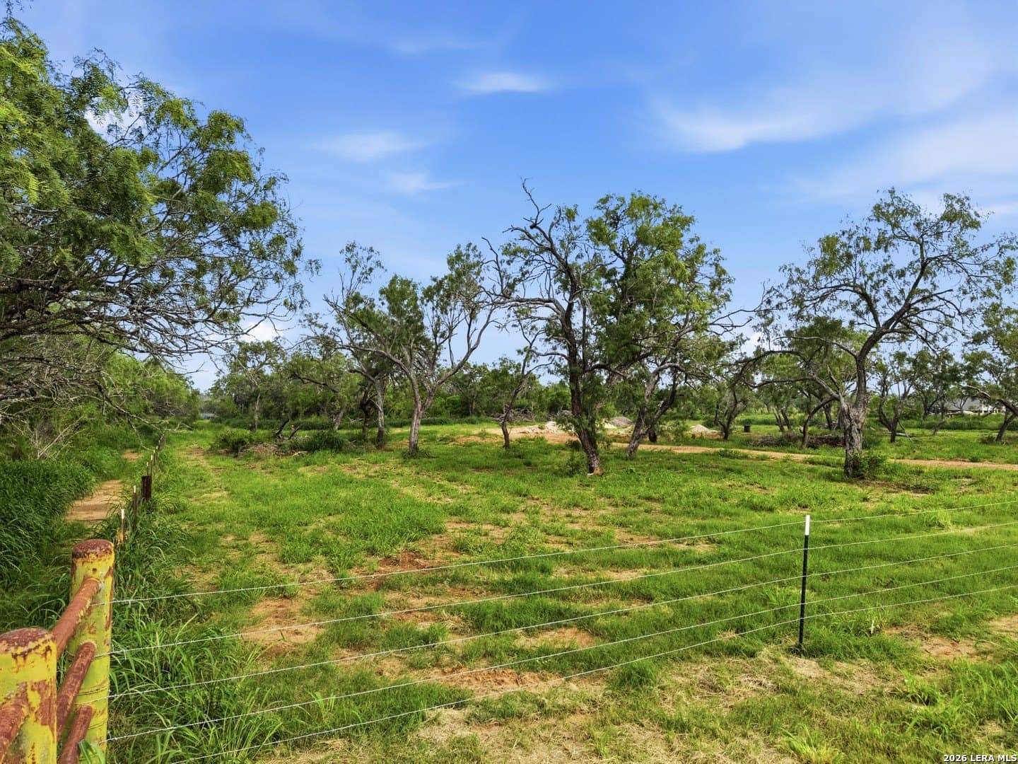 5.5 acres in Wilson County - photo 11