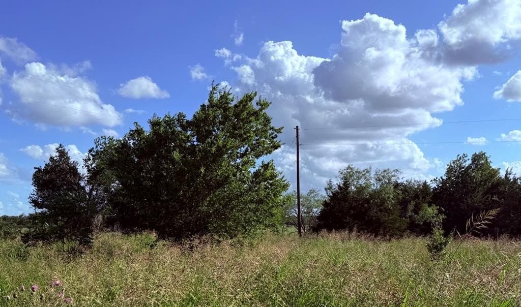 1.06 acres in Navarro County gallery image 4