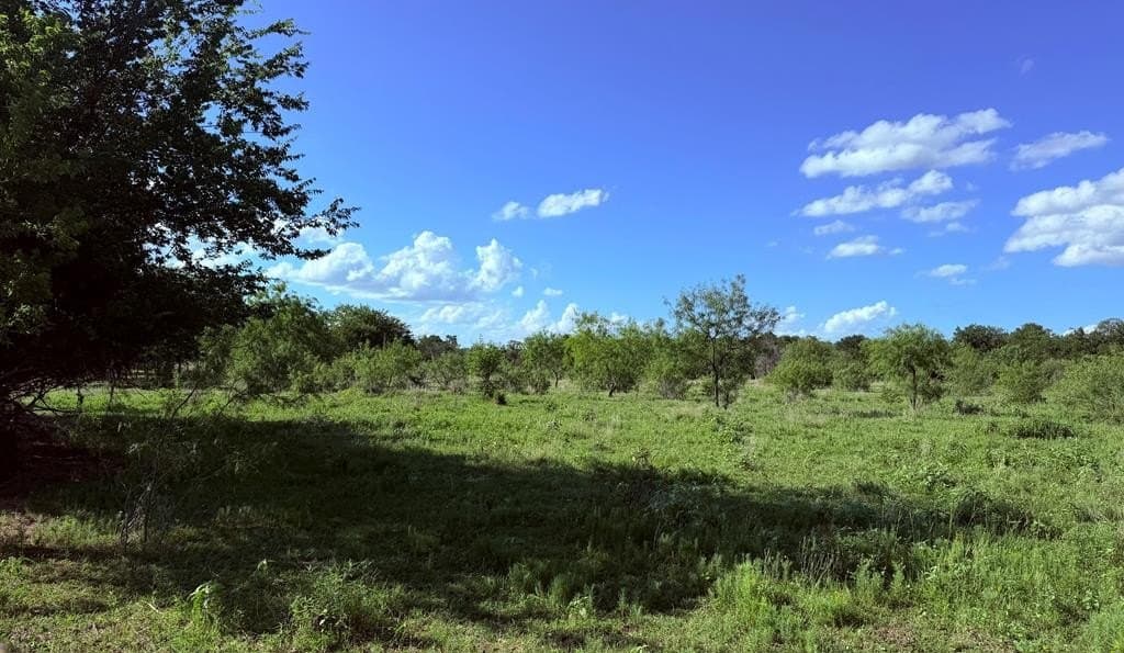 1.06 acres in Navarro County featured view