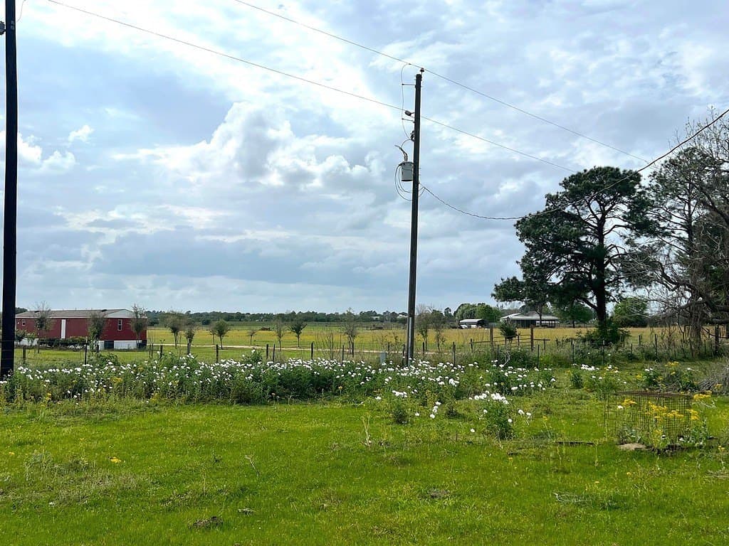 42.51 acres in Austin County - photo 6