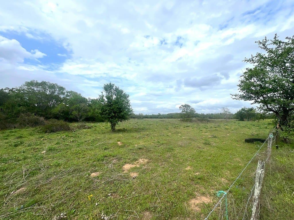 42.51 acres in Austin County - photo 8