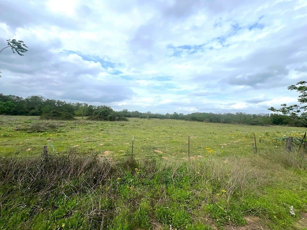 42.51 acres in Austin County - photo 7