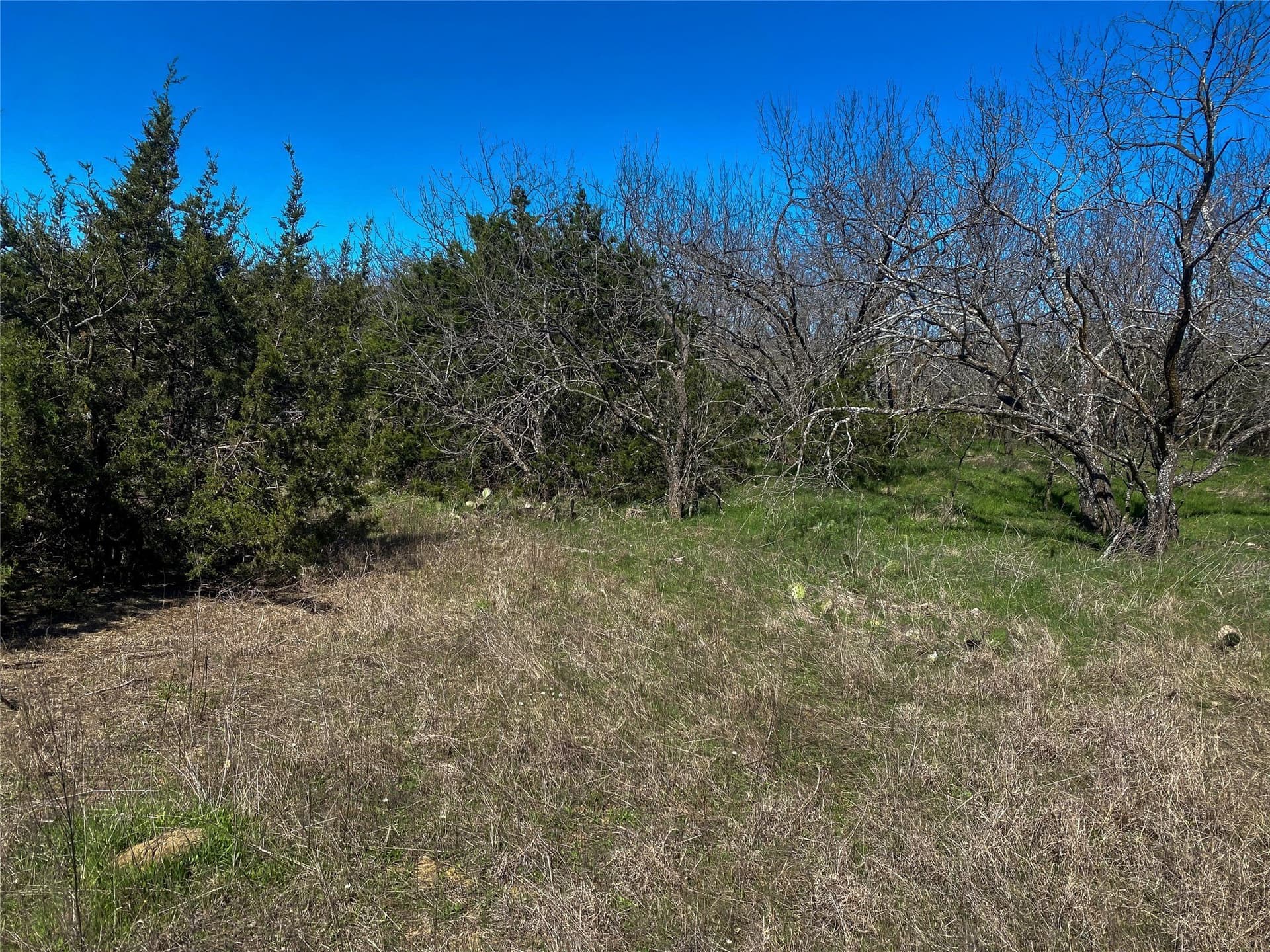 13.52 acres in Johnson County - photo 22