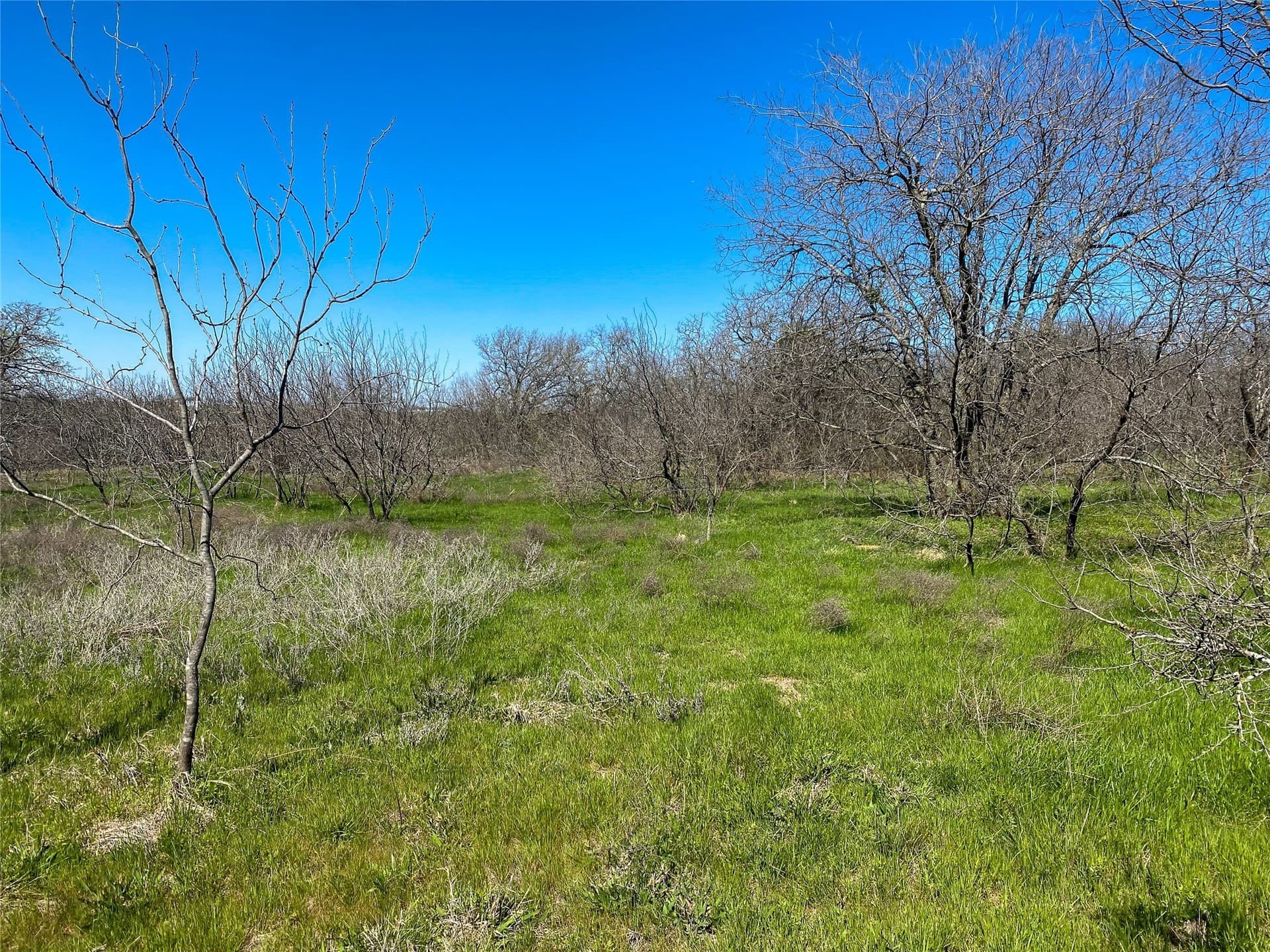 13.52 acres in Johnson County - photo 18