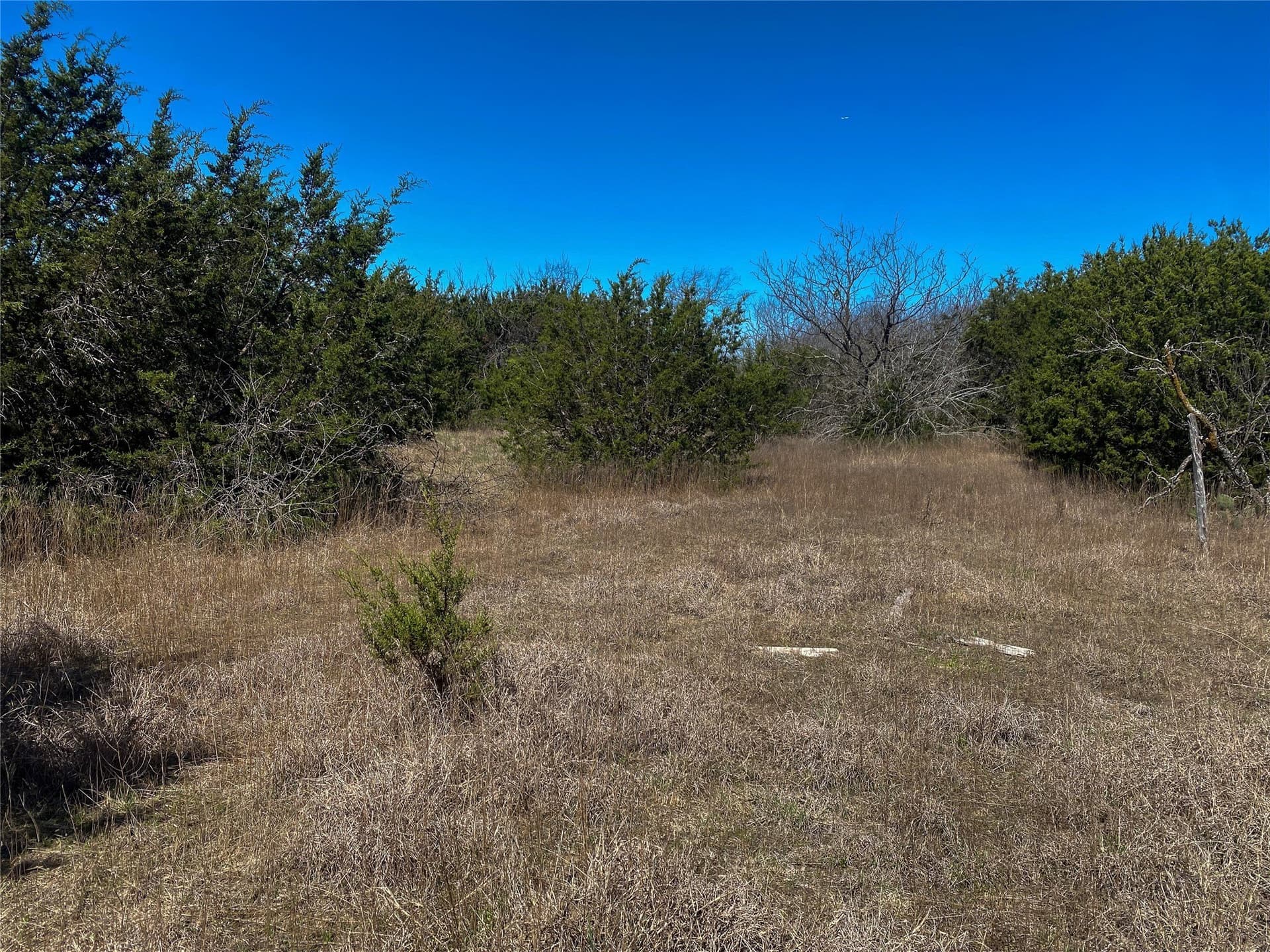 13.52 acres in Johnson County - photo 23