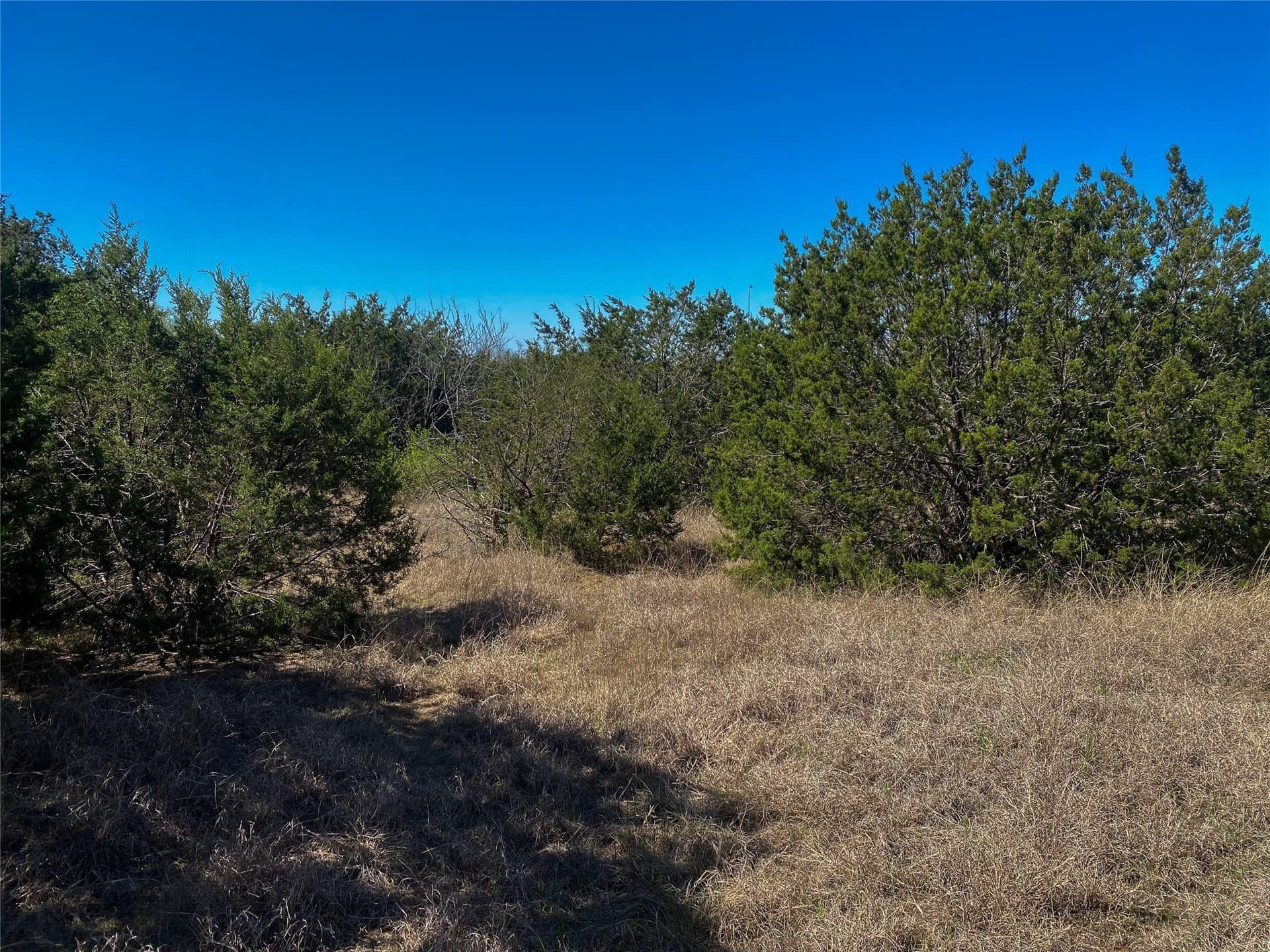13.52 acres in Johnson County - photo 20