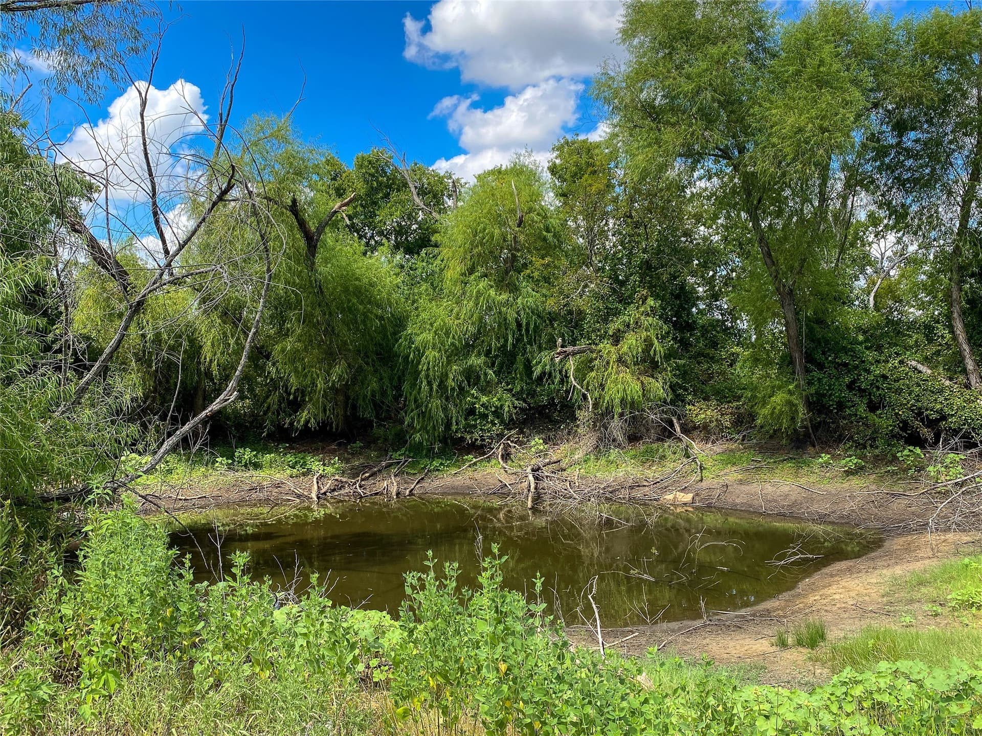 13.52 acres in Johnson County - photo 16