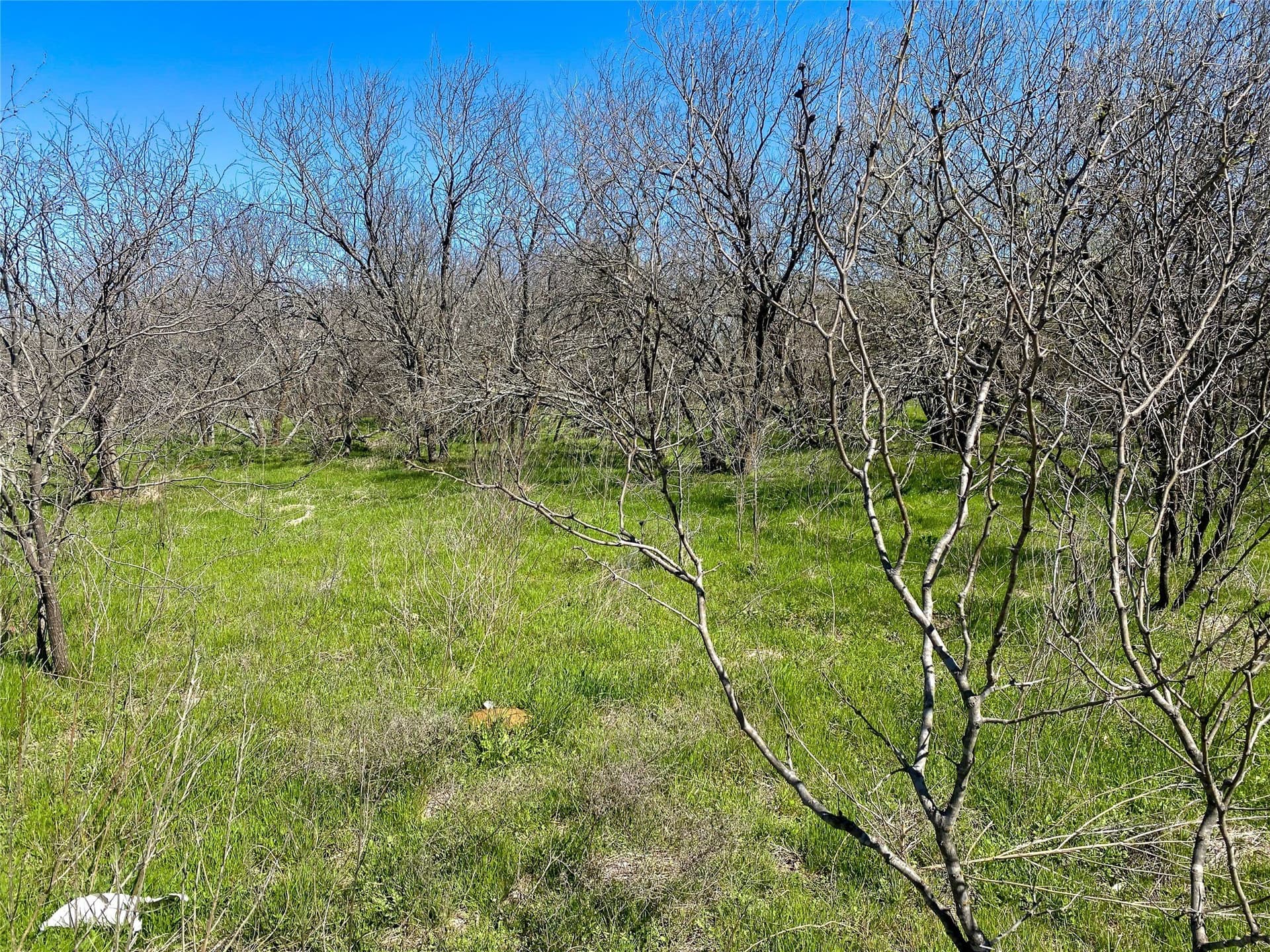 13.52 acres in Johnson County - photo 4