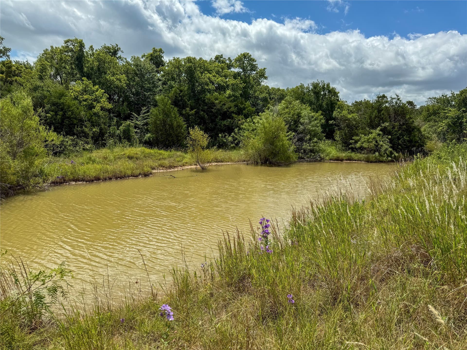 13.52 acres in Johnson County - photo 15
