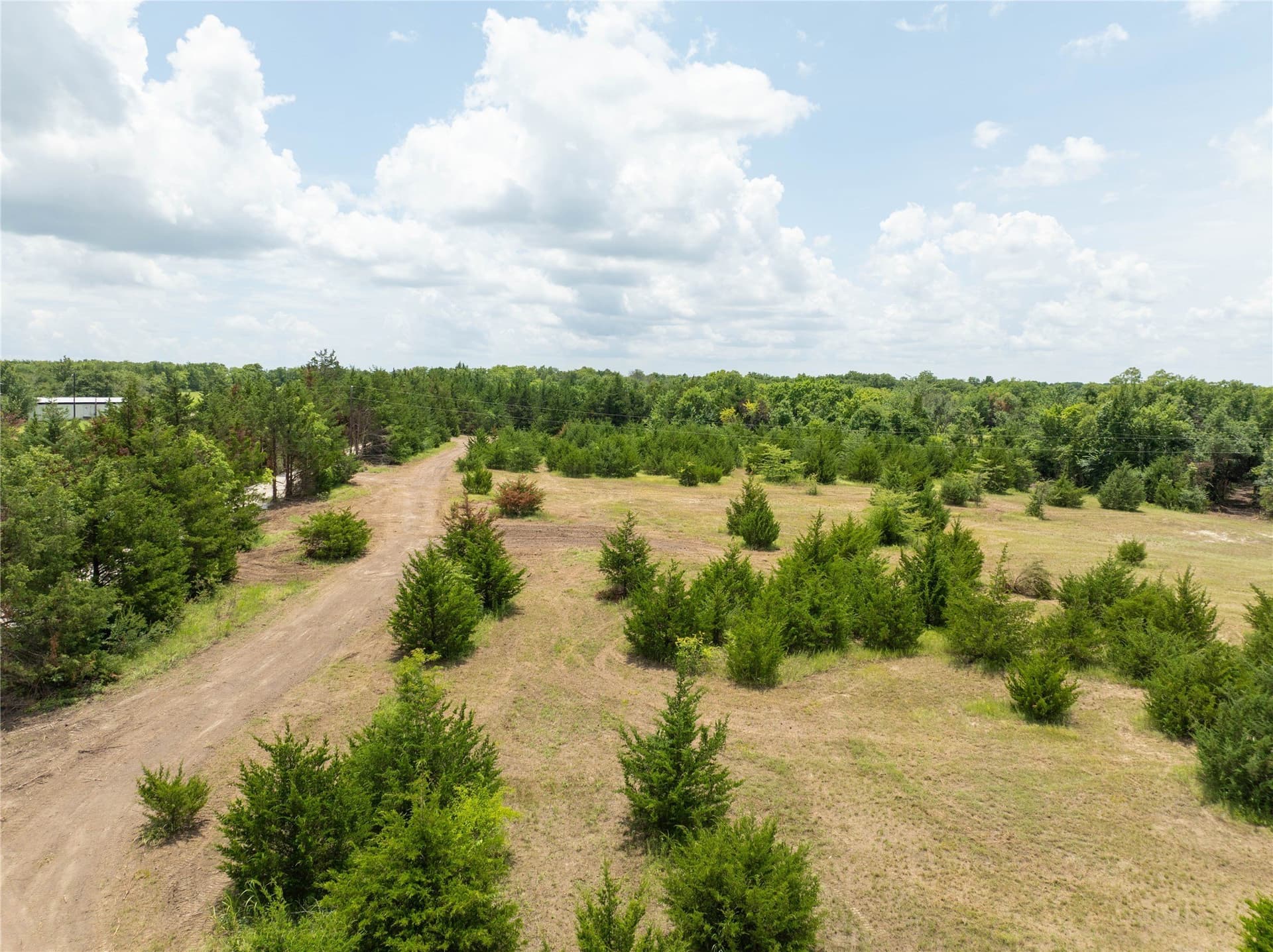 8 acres in Fannin County featured view