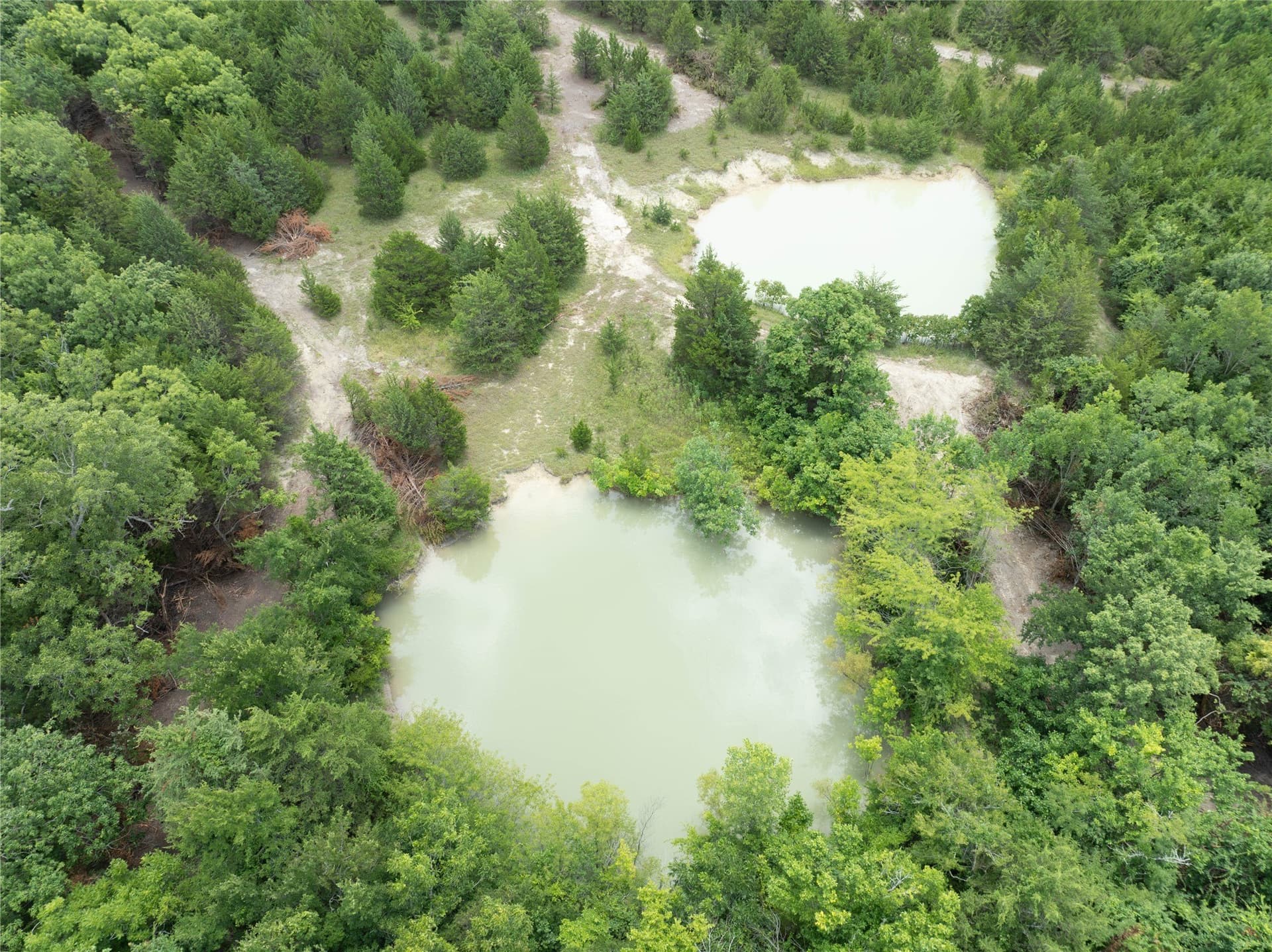 8 acres in Fannin County gallery image 4