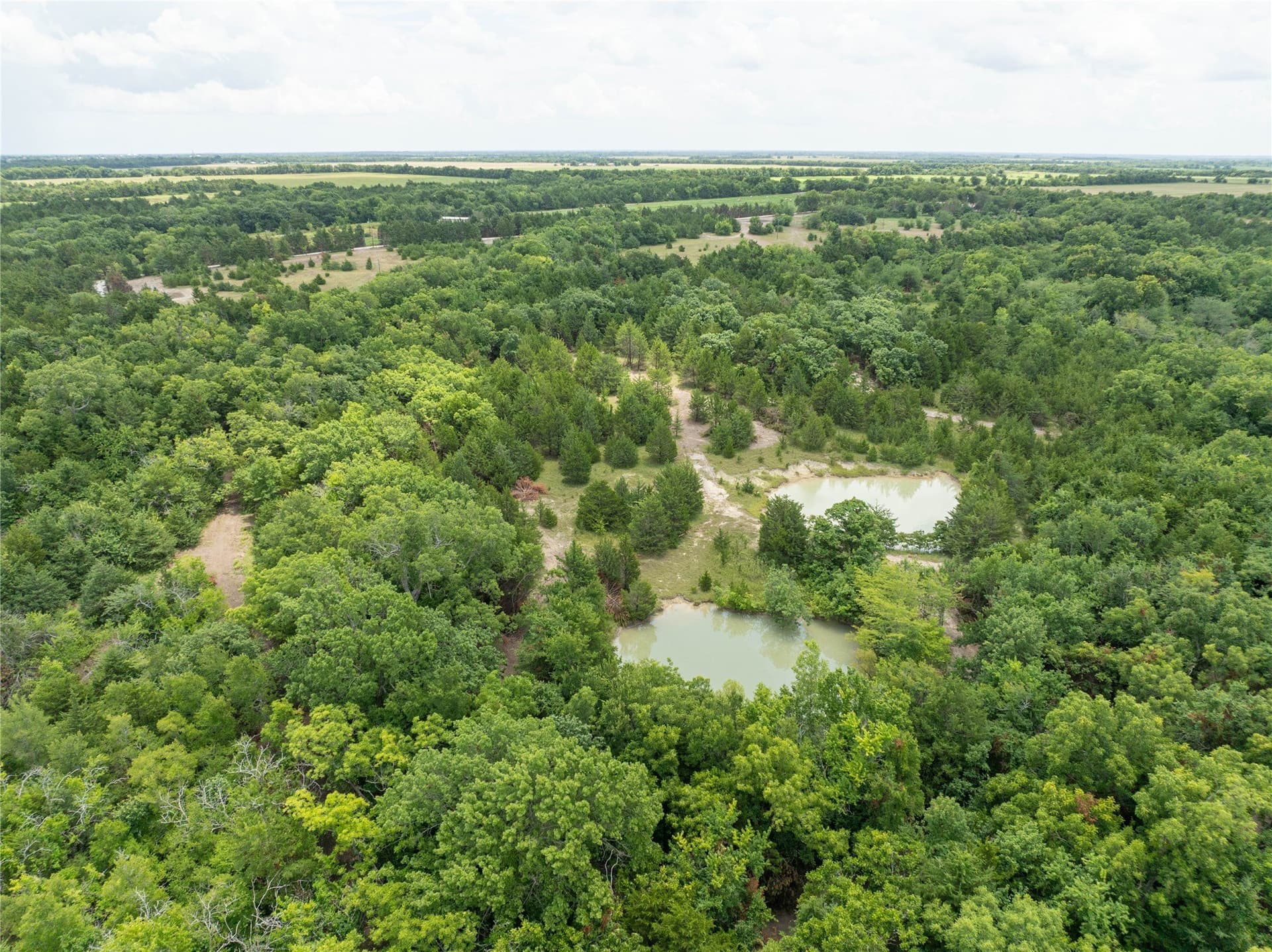 8 acres in Fannin County gallery image 3