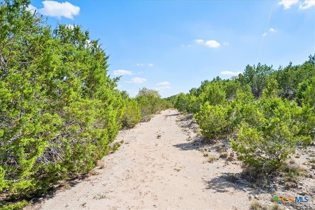 7.55 acres in Burnet County gallery image 4