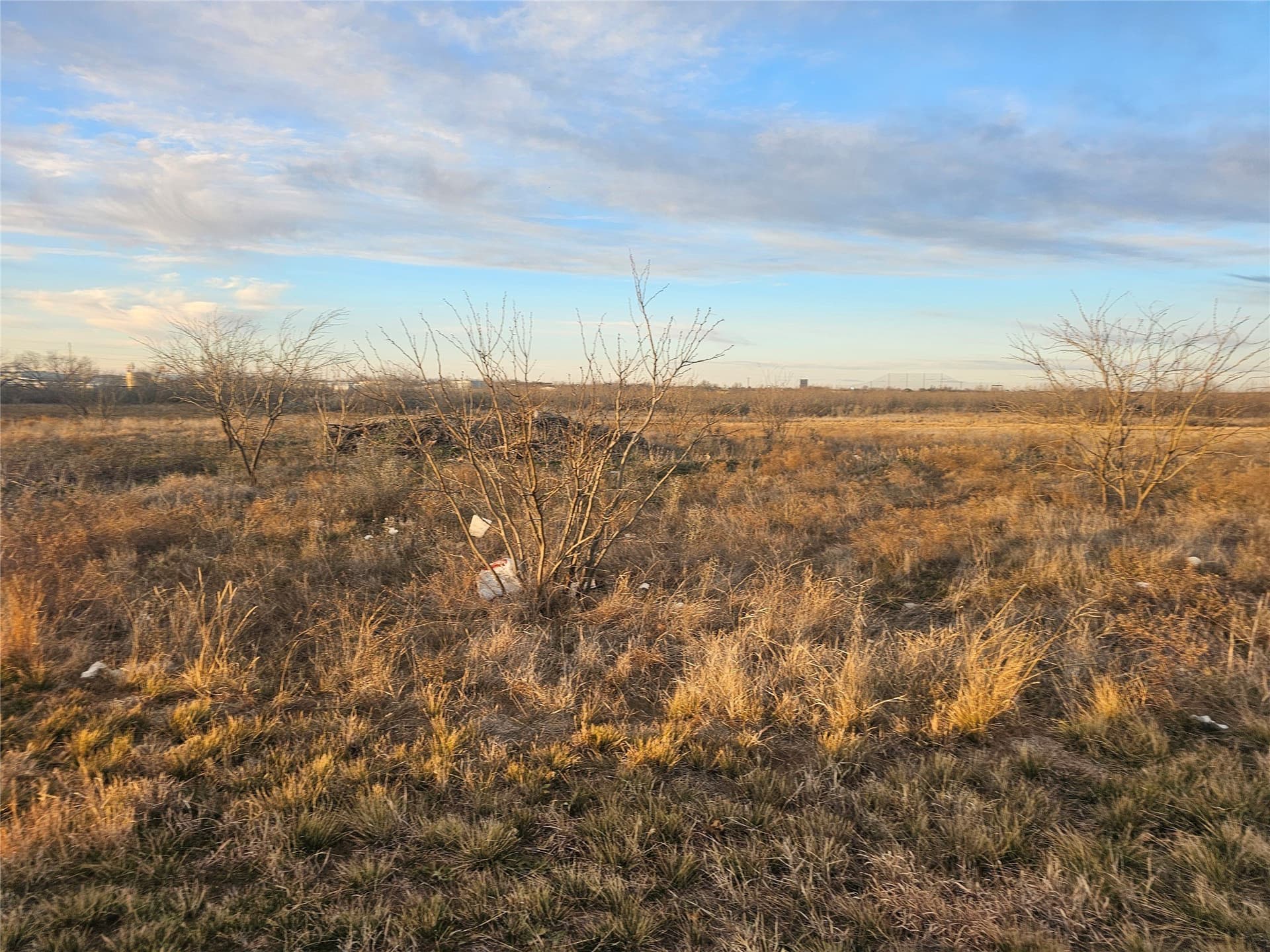 17 acres in Taylor County featured view