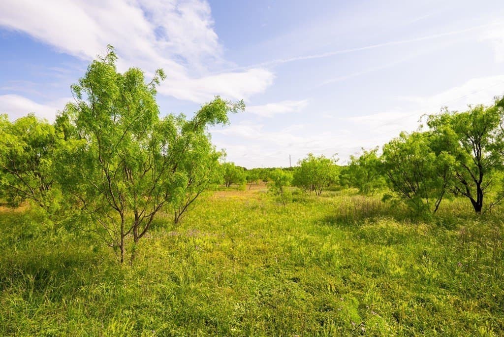 782 acres in Menard County - photo 62