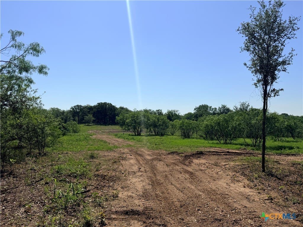 13.74 acres in Caldwell County gallery image 2