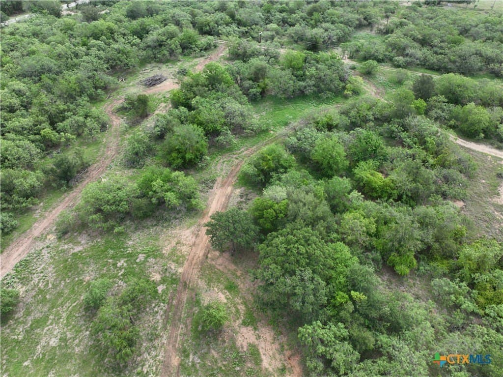 13.74 acres in Caldwell County gallery image 3