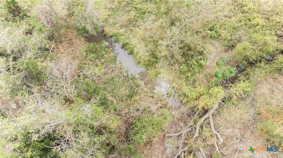 28 acres in Bell County gallery image 4