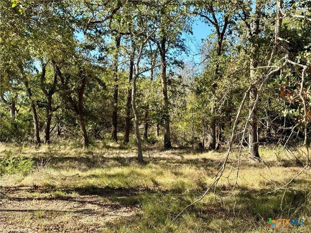 28 acres in Bell County featured view
