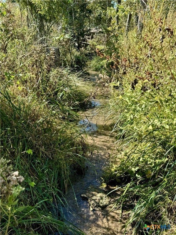 28 acres in Bell County gallery image 2
