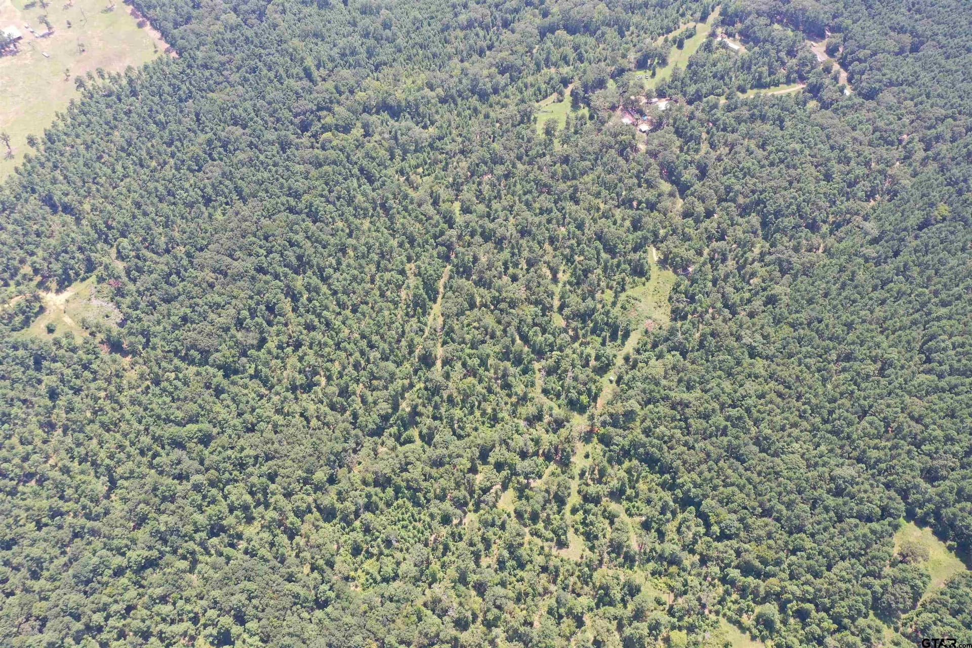 116.4 acres in Cherokee County gallery image 4