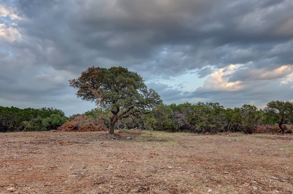50.2 acres in Kerr County featured view