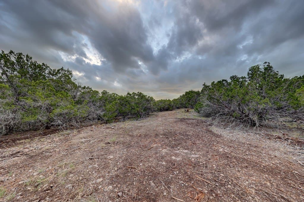 50.2 acres in Kerr County gallery image 4