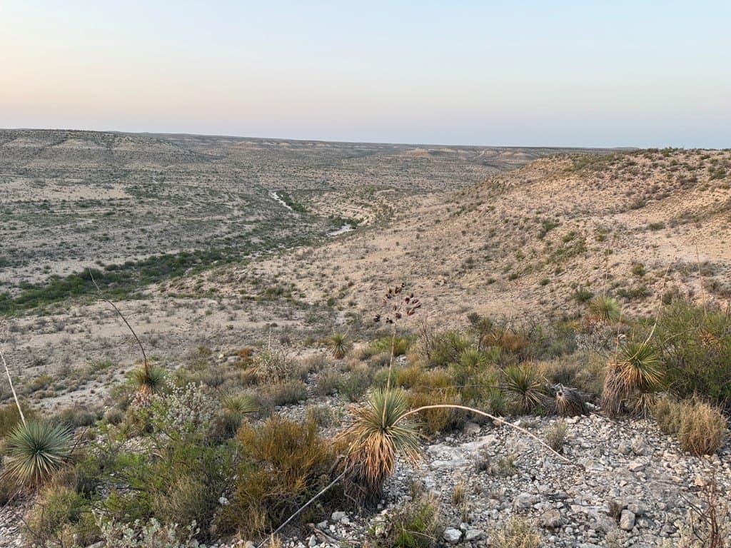450 acres in Terrell County - photo 9