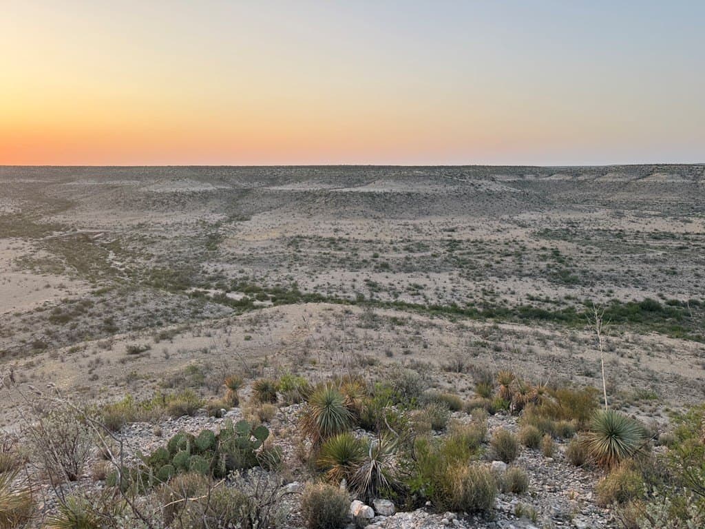 450 acres in Terrell County featured view