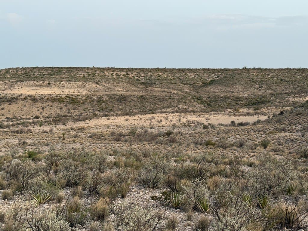 450 acres in Terrell County - photo 12