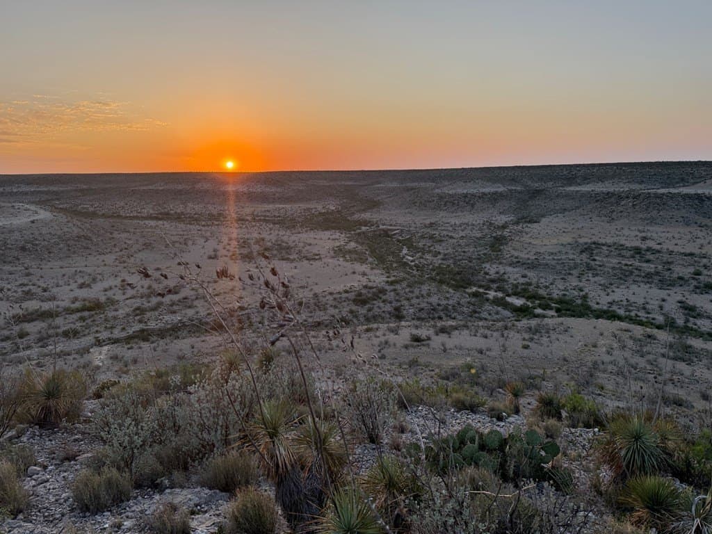 450 acres in Terrell County - photo 7