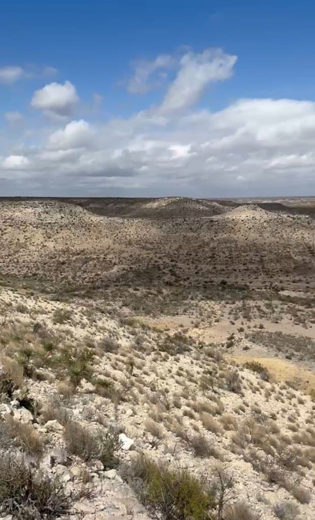 450 acres in Terrell County - photo 18