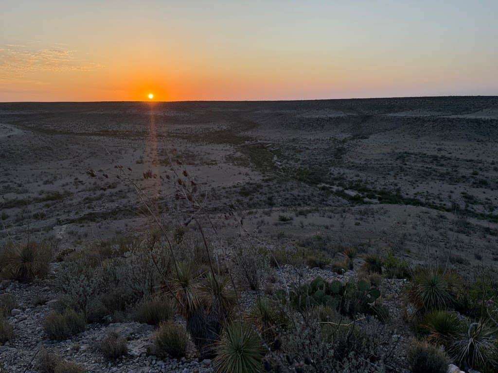 450 acres in Terrell County - photo 6