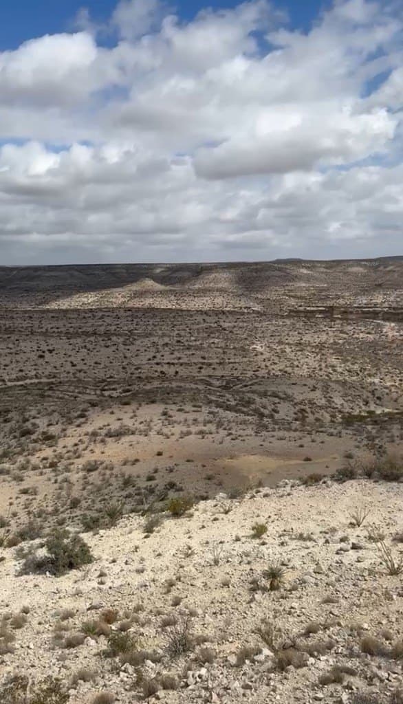450 acres in Terrell County - photo 15