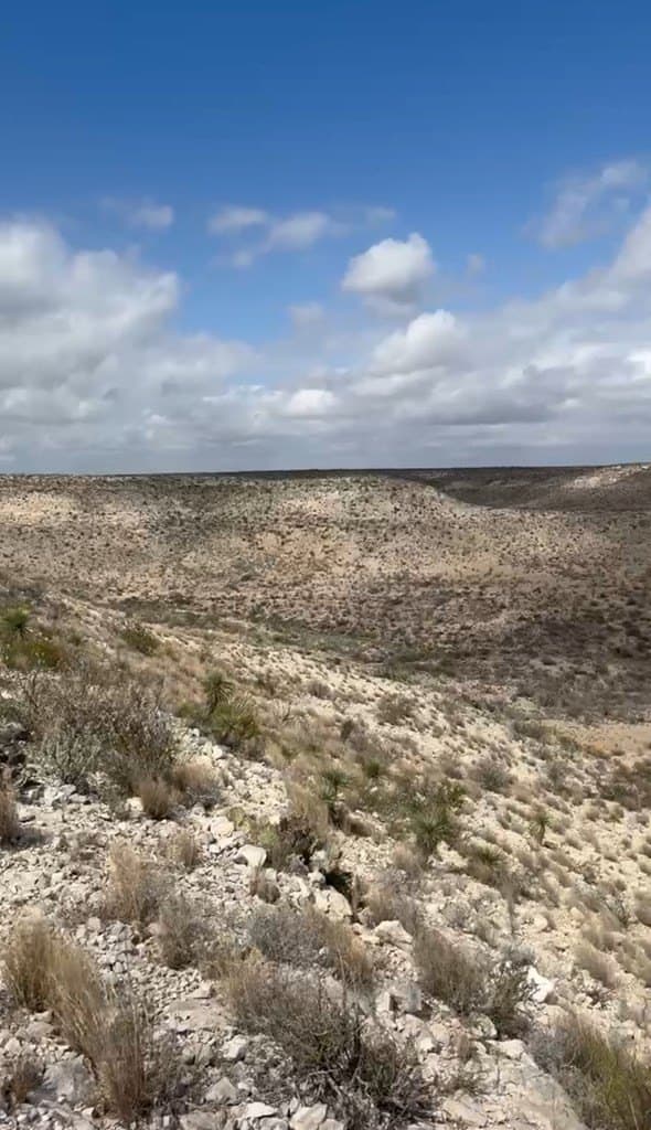 450 acres in Terrell County - photo 21